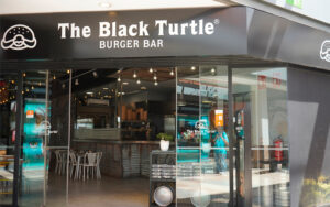 The Black Turtle