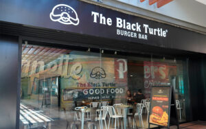 The Black Turtle